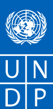 Programul Națiunilor Unite pentru Dezvoltare (PNUD)